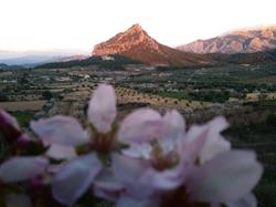 Horario de apertura Can Parrado, Horta de Sant Joan