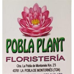 Horario de apertura Centre De Jardineria Pobla Plant - Diseño Floral, La Pobla de Montornes
