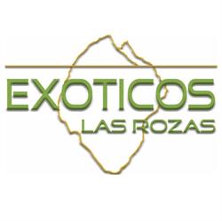 Horario de apertura Exoticos Las Rozas,