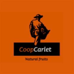 Horario de apertura Ribercamp CoopCarlet - Cooperativa Agrícola Sant Bernat Coop. V., 