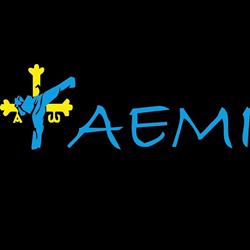 Horario de apertura Academia De Artes Marciales Taemi, Mieres