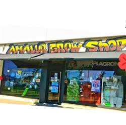 Horario de apertura AMALUR GROW SHOP S.L, Vitoria-Gasteiz
