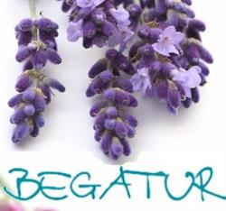 Horario de apertura Begatur Servicios Turísticos S.L, Carracedo de Monasterio