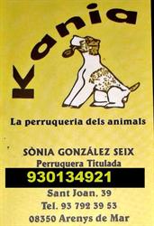 Horario de apertura Kània, Arenys de Mar