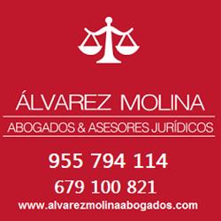 Horario de apertura ALVAREZ MOLINA ABOGADOS & ASESORES, San Jose de la Rinconada