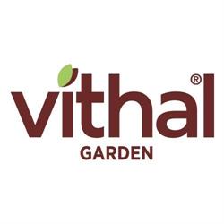Horario de apertura Vithal Garden, Valencia