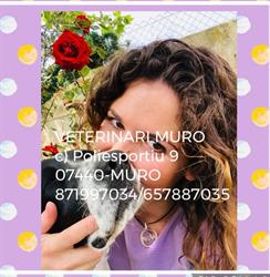 Horario de apertura Veterinari Muro, 