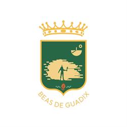Horario de apertura Ayuntamiento de Beas de Guadix, 