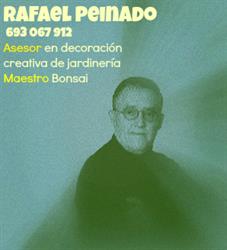 Horario de apertura RAFAEL PEINADO, Padul
