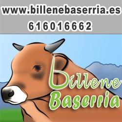 Horario de apertura Billene Baserria, Amorebieta-Etxano