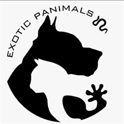 Horario de apertura Exotic panimals, Ontinyent