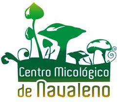Horario de apertura Centro Micológico Pinares, Navaleno