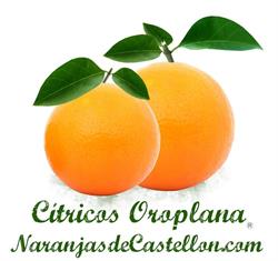 Horario de apertura Cítricos Oroplana - Naranjas de Castellón,