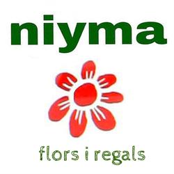 Horario de apertura Niyma, Es Migjorn Gran