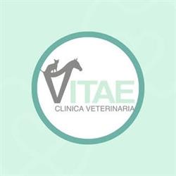 Horario de apertura Clínica Veterinaria Vitae, Algodonales
