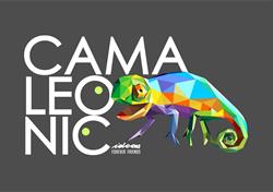 Horario de apertura Camaleonic, Gavà