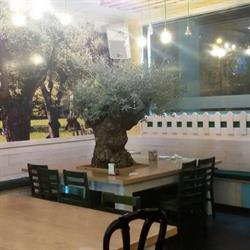 Horario de apertura El Jardin, Zaragoza