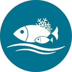 Horario de apertura Pescados Castellon S.L., 