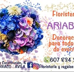 Horario de apertura Ariabad Sl, El Barraco