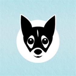 Horario de apertura Fionetta - Veterinario en Elche, 