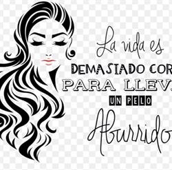 Horario de apertura Peluqueria Diagonal, Tarazona