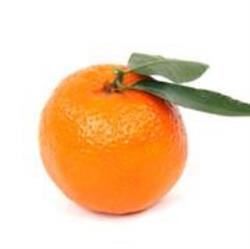 Horario de apertura Frutas y Verduras Mandarina, L'Eliana