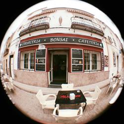 Horario de apertura Café Bar Bonsai, La Puebla de los Infantes