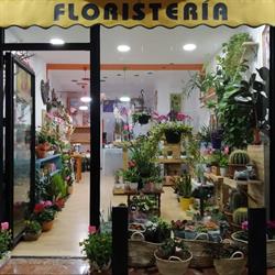 Horario de apertura Flor de Lis (floristeria), Churriana de la Vega