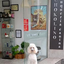 Horario de apertura Chokolino peluquería canina, Oviedo