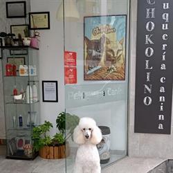 Horario de apertura Chokolino peluquería canina, Oviedo