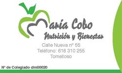 Horario de apertura María Cobo Nutrición y Bienestar. Dietista Nutricionista, Tomelloso