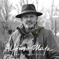 Horario de apertura PHOTOGRAPHO, Sardón de Duero