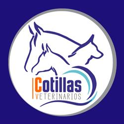 Horario de apertura Ángel Cotillas Veterinario, Membrilla