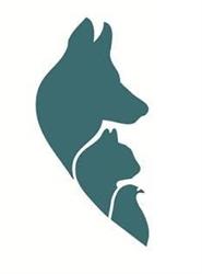 Horario de apertura Animal Clinic Onda,