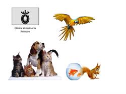 Horario de apertura clinica veterinaria, Ceuta