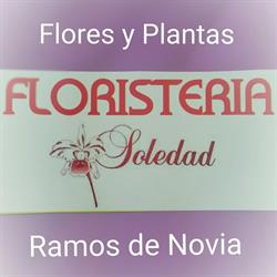 Floristería Soledad en Madrid (Villa De Vallecas) - Horario de apertura