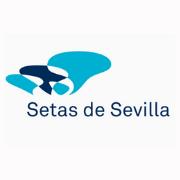 Las Setas de en Sevilla (Casco Antiguo) - Horario de apertura