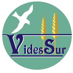 Horario de apertura Videssur, Sevilla