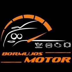 Horario de apertura BORMUJOS MOTOR S L, Bormujos