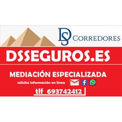 Horario de apertura Ds Corredores De Seguros, Puente Tocinos