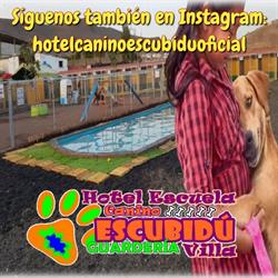 Horario de apertura Hotel Canino Escubidú, Agüimes