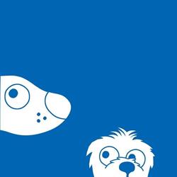 Horario de apertura Clínica Veterinaria Somo (Urgencias 722614410),