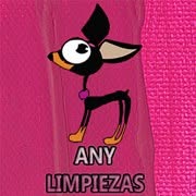 Horario de apertura Any Limpiezas, Vitoria-Gasteiz