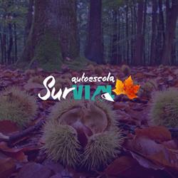 Horario de apertura Autoescola Survial, Sabadell