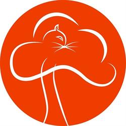 Horario de apertura The Cat In The Tree, Valencia