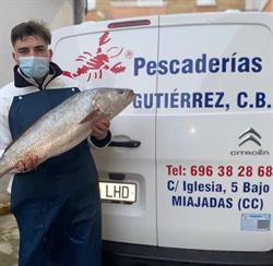 Horario de apertura Pescaderia Barquero Gutierrez C.b., Miajadas