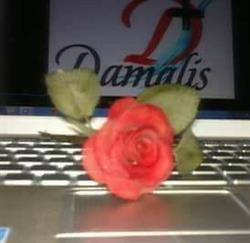 Horario de apertura Damalis sl, Elche