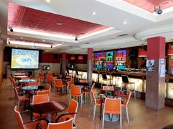 Horario de apertura Cafe Matute Navarrete Sociedad Limitada., 