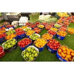 Horario de apertura Frutas Alper S.L., Aljariz