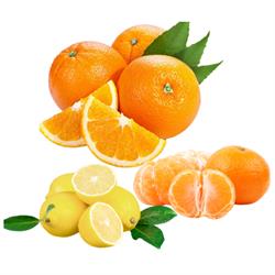 Horario de apertura Quiero Naranjas Ecológicas | Comprar Naranjas Online, Alzira